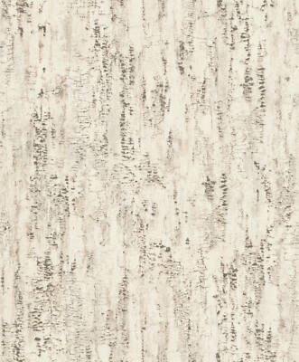 Tapete Vlies Rasch Birke Baumstamm beige grau Composition 554052 (4,23 /1qm)