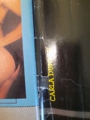 Female Bodybuilding Magazine, Premier Issue, Dec. 1986 Women Muscle Bodybuilding - Picture 11 of 16
