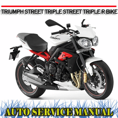 Triumph street 2024 triple rs manual