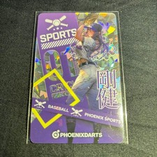 Phoenix Darts Baseball Phoenica Winning Item