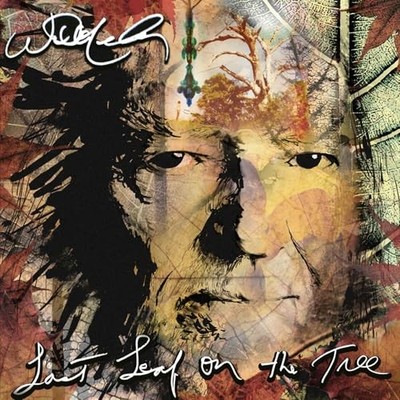Willie Nelson - LAST LEAF ON THE TREE - CD LONGPLAY - F600z