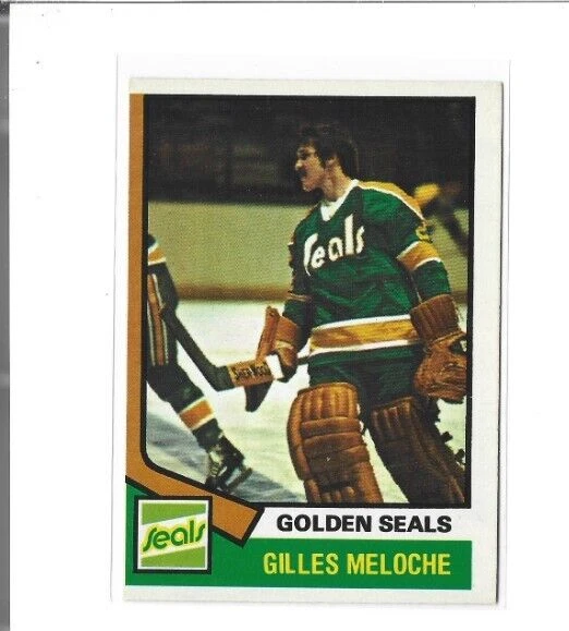 1974-75 O-Pee-Chee #205 Gilles Meloche EXMT