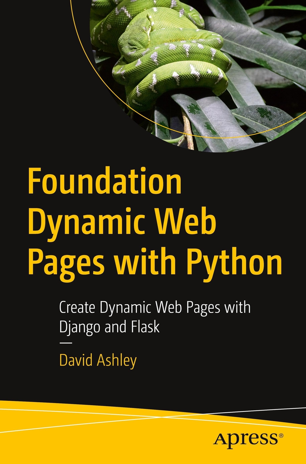Thumbnail - Foundation Dynamic Web Pages With Python David Ashley Taschenbuch