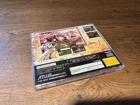 Princess Crown W/Manual Sega Saturn SS Rare Retro Good Used Game NTSC-J Japan JP