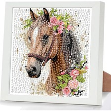Diamond Painting Kinder Pferd 5D Set mit Rahmen, DIY Bastelset Geschenk