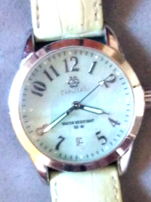 pastorelli watch Ladies | eBay display picture 3