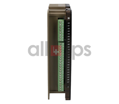 SELECTRON DIGITAL INPUT MODULE 43110021 - DIO20 (USED)
