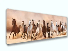 Horse Mix Panoramic Picture Canvas Print Home Decor Wall Decor Art