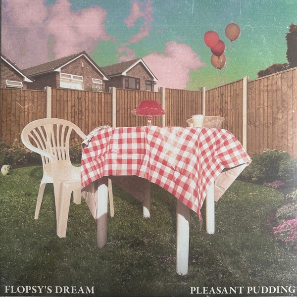 Flopsy's Dream Pleasant Pudding LP Vinyl NEW