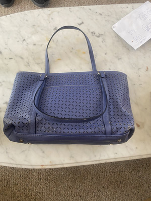 Dana Bushman Purple Bag 