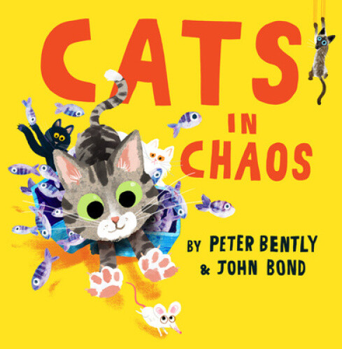 Thumbnail - Cats In Chaos By Peter Bently