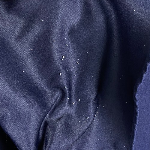 Disney Eeyore Hello I Guess Womens Large Button Up Blouse Navy Embroidered - Picture 8 of 16
