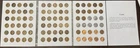 1909 VDB With 80+ Lincoln Cent Wheat In Harris Album (1909 - 1960 & 1982)