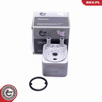 Esen SKV ÖLküHler MotoröL 31SKV208 FüR VW Passat B6 Variant 3C5 3C2 CC 357 Golf