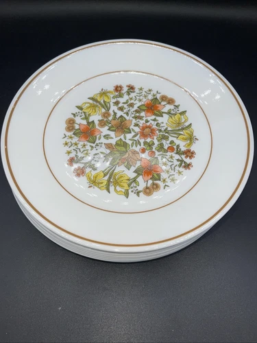 CORELLE Indian summer SET OF 11 PLATES 8.5 IN Vintage Retro MCM Cottage Core EUC