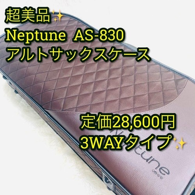 #ad Neptune AS 830 Alto Saxophone Case 3WAY Brown Super Good Condition $341.05