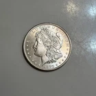 1880 Morgan Silver Dollar Philadelphia Possible Error Jawline BU Light RIMToning
