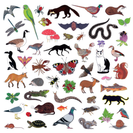 Modern Nature Island of Noise (винил) 12 альбомов на цветном виниле (ИМПОРТ из Великобритании)