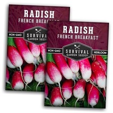 French Breakfast Radish Seeds for Planting – Fast-Growing Heirloom Radishes 2