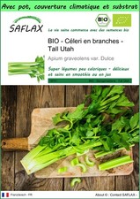 SAFLAX - Garden to go - BIO - Céleri en branches - Tall Utah - 500 Graines