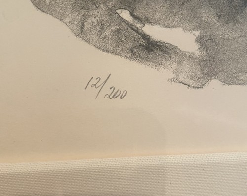 Framed art Lithograph  “Paternal Embrace” 12/200 Sandu Liberman 22"L x 19"W - Bild 8 von 10