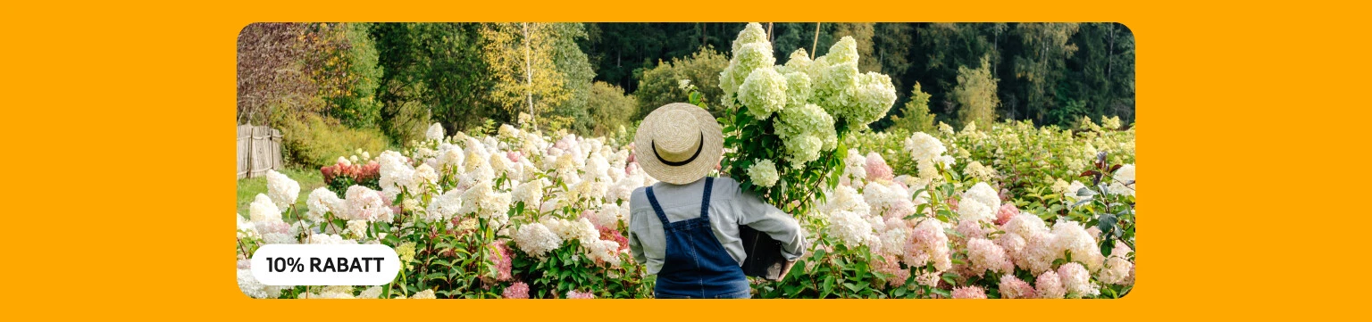-10%* für Garten & Terrasse