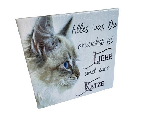 Motivfliese Wandbild Bildfliese Katze Spruch... (081) Geschenkidee Fliese - Picture 7 of 11