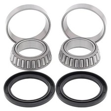 Kit cuscinetti ruota con anello di tenuta per ruota posteriore Polaris Scrambler 500 4WD 2000-2011