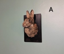 Rabbit Taxidermy, Skulls, Bones, Oddities, Curio, Home Decor, Gift, Voodoo, Art