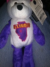 Limited Treasures Coin Bears 21 Illinois