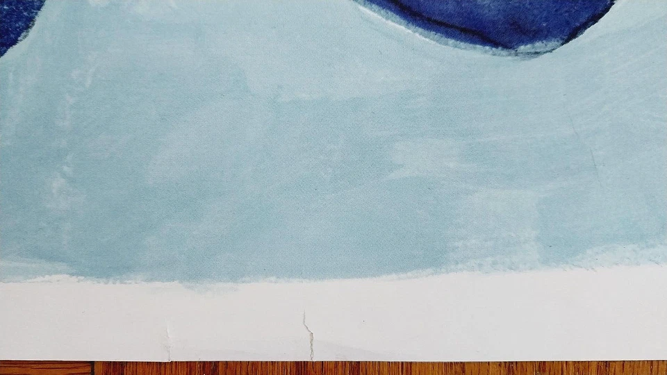 Georges Braque abstract birds art print poster MCM Nouvelles Images France 26x35 - image 3 of 4