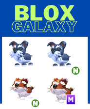 Homepass 2025 Update - Siamese Cat - Mini Schnauzer  - Adopt your pets