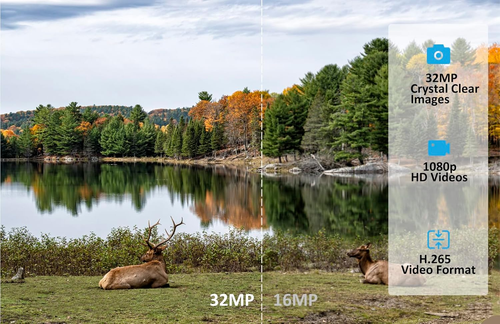 Cellular Trail Camera S950, Game Camera with 4G LTE, Clear 100Ft No Glow Night V - Picture 5 of 12