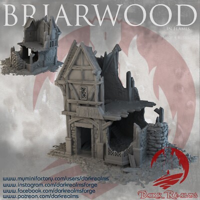3D Printed Dark Realms Briarwood Shop Ruin 4 (28mm-32mm Scale) [PTO]