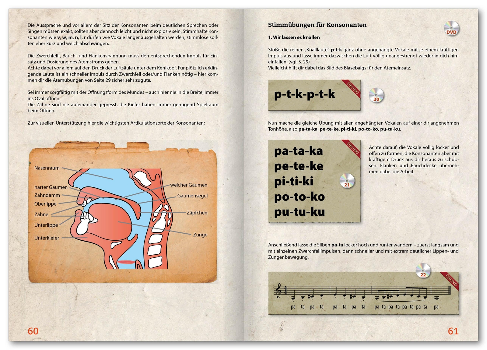 Thumbnail - Das Große Buch Der Stimme | Braun, Renate