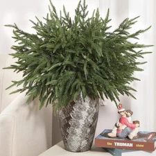 21 Inch Real Touch Norfolk Pine Branch 12 Pcs Stems Christmas Greenery for Vase