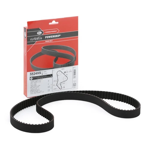 Correa dentada GATES 5524XS FleetRunner™ Micro-V® Stretch Fit® para FIAT ULYSSE (220) - Imagen 5 de 7