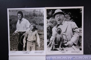 Twenty Four 1970s 1980s Type 1 TV DISNEY Press Photos (id5341)