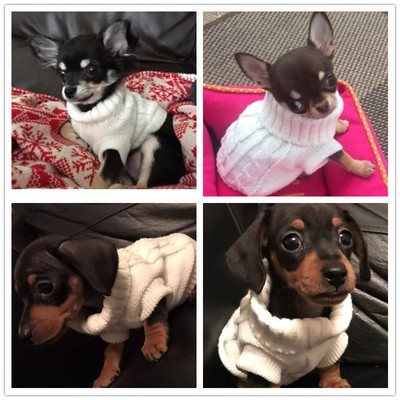 teacup dog sweaters