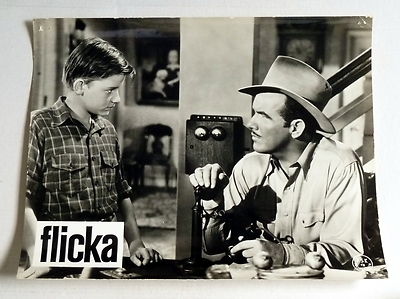 FLICKA / My Friend Flicka - WA-AUSHANGFOTO #13 German L C -RODDY McDOWALL RR ´65