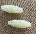 Antique Chinese Jade BEADS~  Hand Carved ~TWO!!! — photo 7
