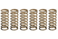 Un jeu de ressorts d'embrayage pour APRILIA TUONO 1100 2015-2020