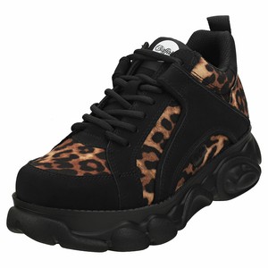 buffalo leopard trainers