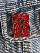 Introverts Unite Separately, In Your Own Homes Funny Silver Enamel Pin
