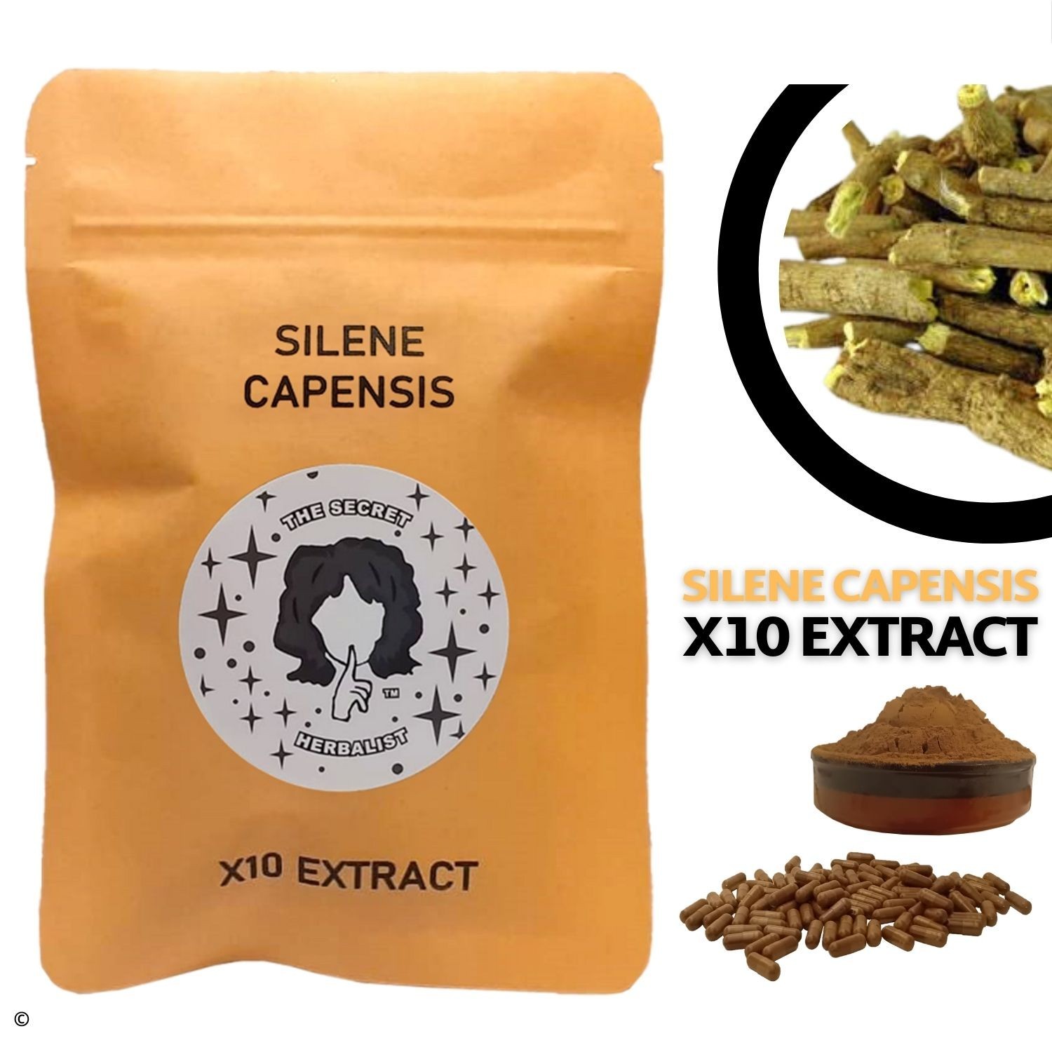 Silene Capensis - African Dream Root - African Dream Herb - X10 Extract 