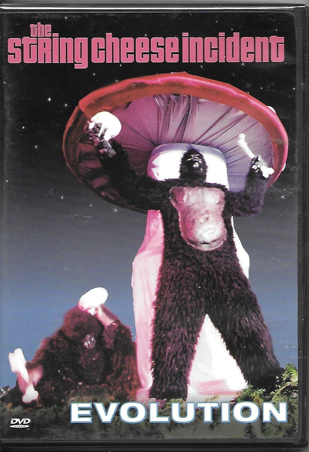 Evolution DVD