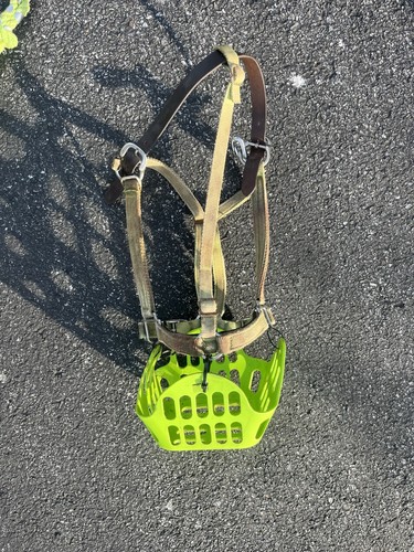 Greenguard Horse Grazing Muzzle And Breakaway Halter Cob Size Lime Green