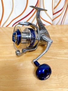 Daiwa Saltiga 6000 | eBay