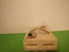 Picture 8 of 8