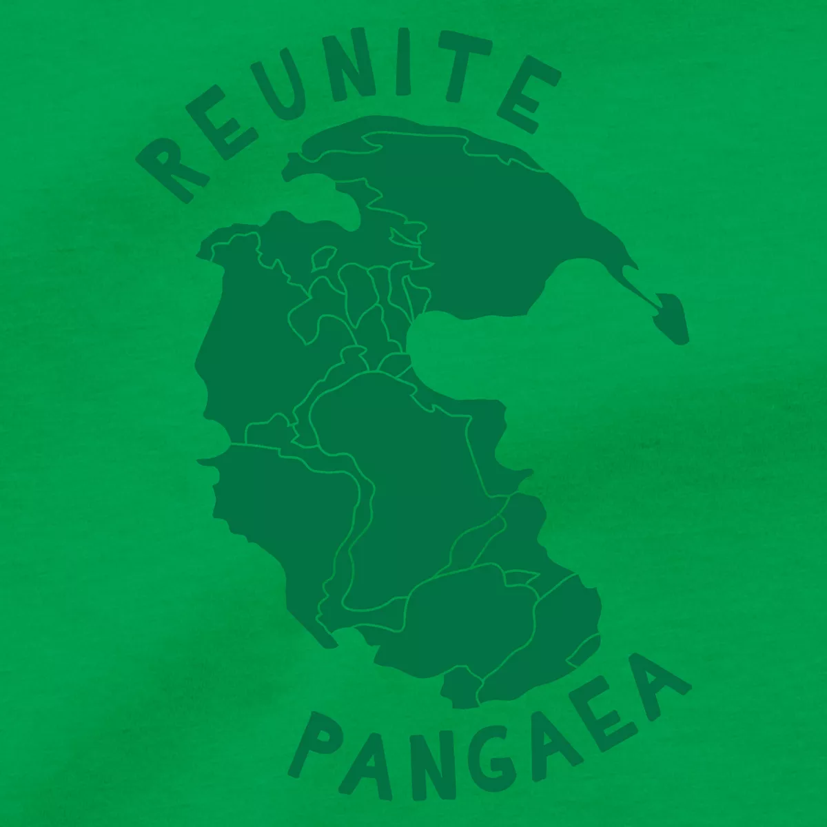 Earth pangea sales shoes